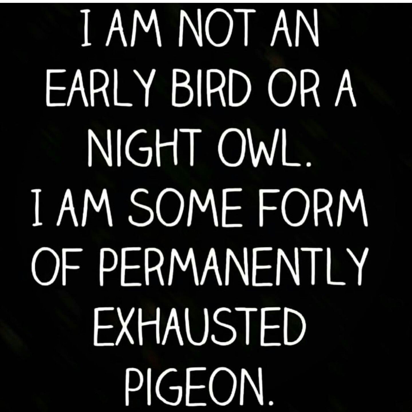 I Am Not An Early Bird Or A Night Owl Pictures, Photos, and Images for