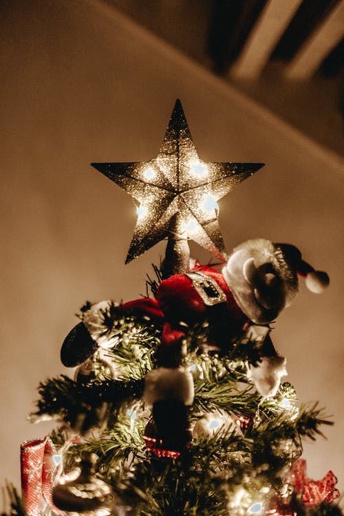 Star On Christmas Tree Pictures, Photos, and Images for Facebook, Tumblr, Pinterest, and Twitter