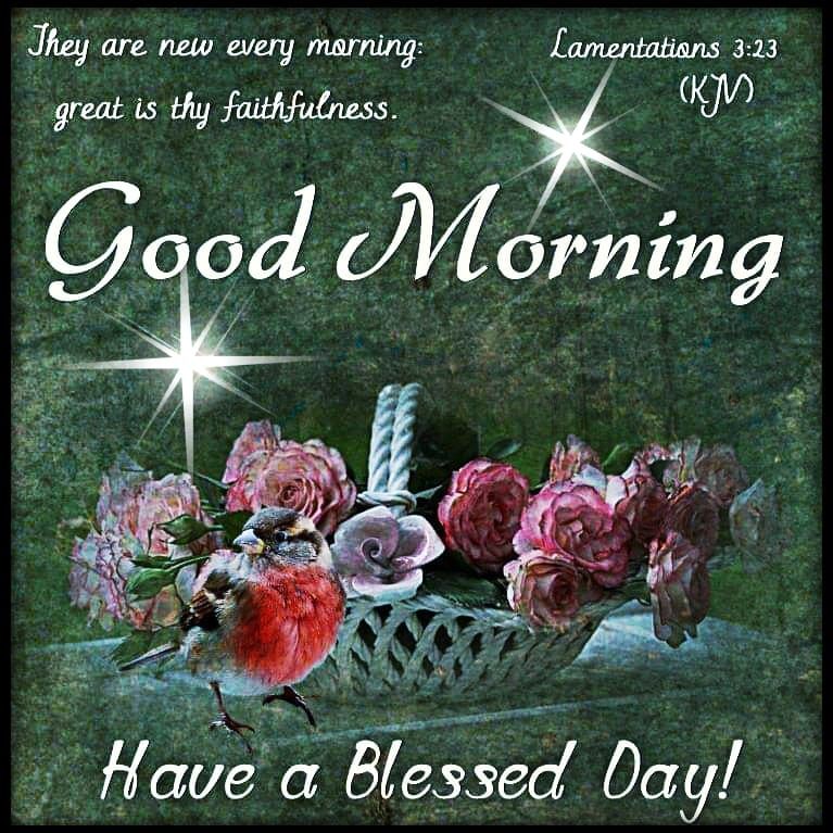 Great Is Thy Faithfulness Quotes They Are New Every Morning, Great Is Thy Faithfulness Pictures, Photos, And  Images For Facebook, Tumblr, Pinterest, And Twitter