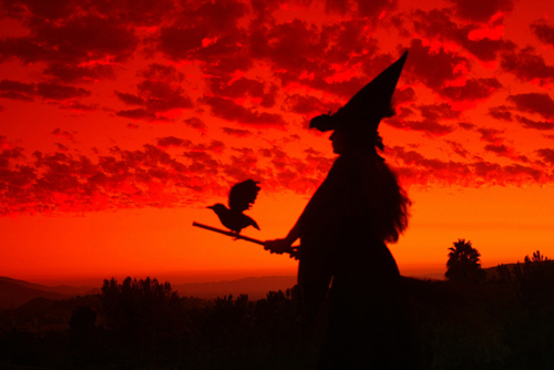 Witch on Sunset Witch on Sunset