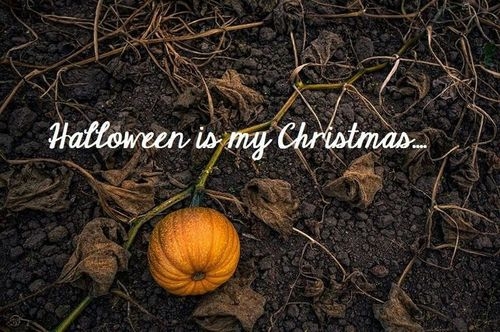 Halloween is my Christmas Halloween is my Christmas