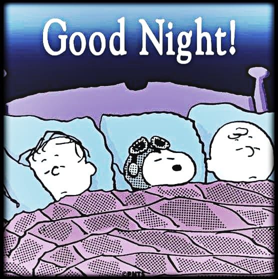 Peanuts Gang Good Night Quote Pictures, Photos, and Images for Facebook, Tumblr, Pinterest, and