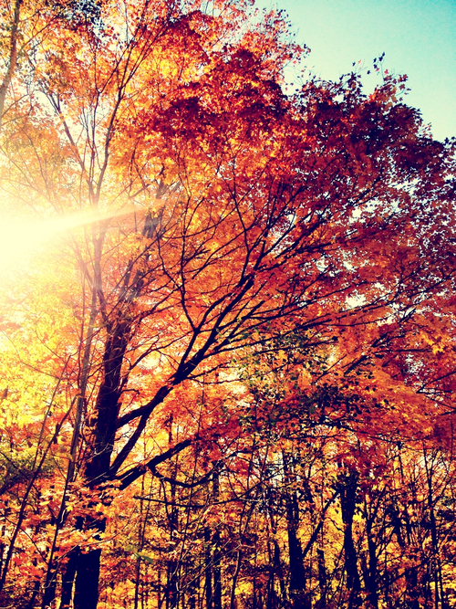 A taste of Autumn