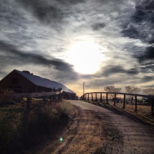 Farmland Farmland