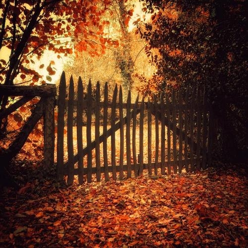 Autumn gate