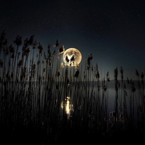 Full moon