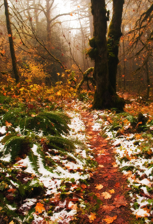 Autumn snow Autumn snow