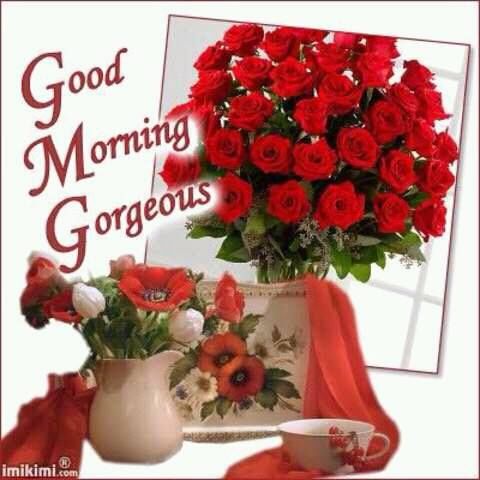 Good Morning Pictures, Photos, and Images for Facebook, Tumblr