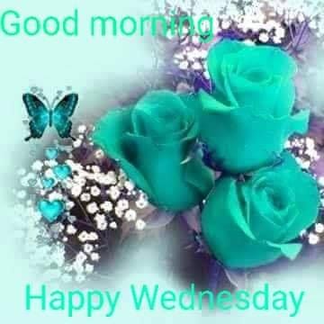 Good Morning Wednesday Images Turquoise Good Morning Wednesday Roses Pictures, Photos, And Images For  Facebook, Tumblr, Pinterest, And Twitter