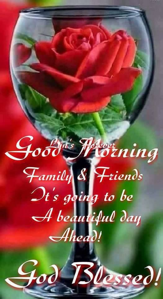 it-s-going-to-be-a-beautiful-day-pictures-photos-and-images-for