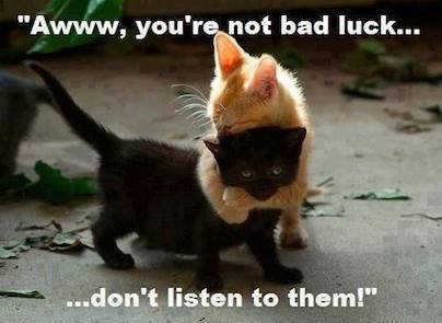 your not bad luck