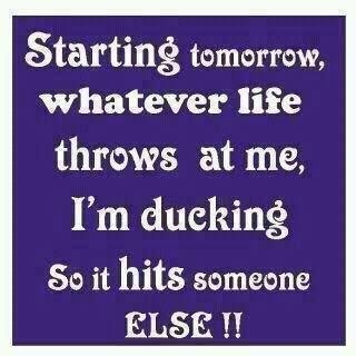starting tomorrow