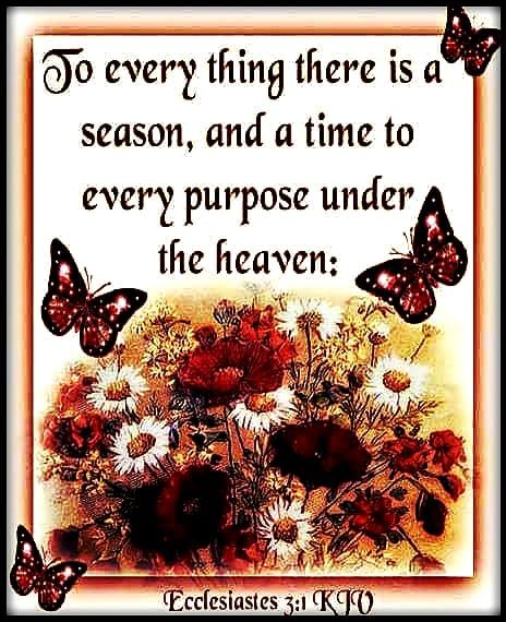 To Everything There Is A Season Quote To Everything There Is A Season Pictures, Photos, And Images For Facebook,  Tumblr, Pinterest, And Twitter