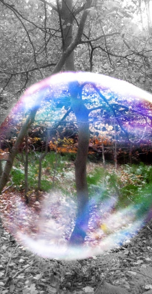 Looking through the Bubble Looking through the Bubble