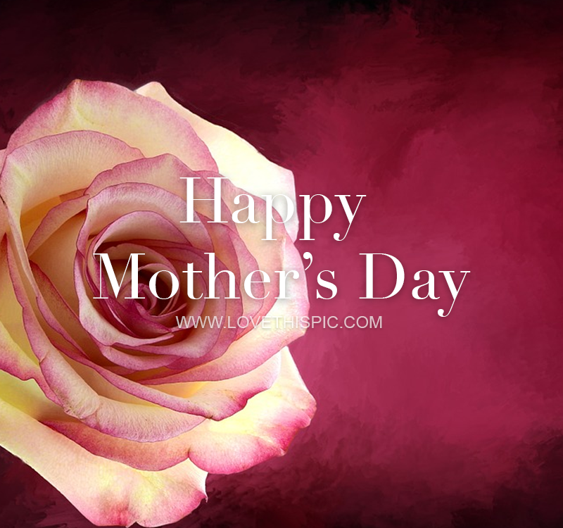 Rose Flower Happy Mother's Day Pictures, Photos, and Images for