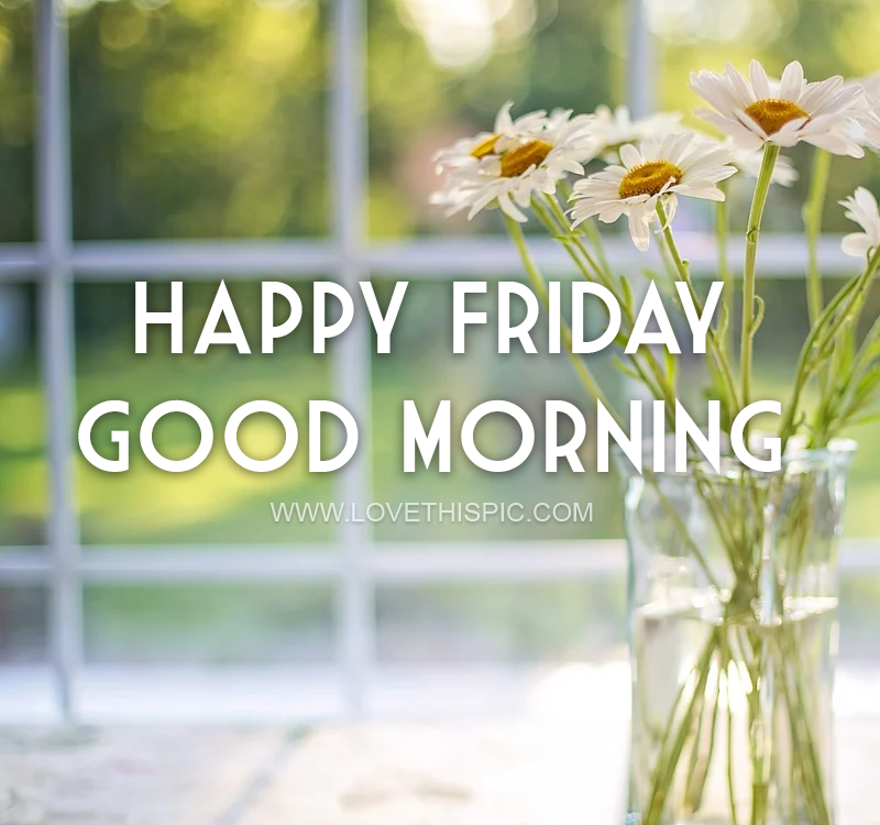 Happy Friday Morning Images Vase Of Daisies - Happy Friday, Good Morning Pictures, Photos, And Images  For Facebook, Tumblr, Pinterest, And Twitter