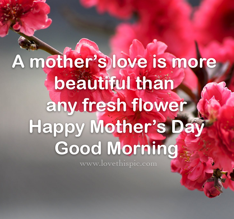 A Mother’s Love Is More Beautiful Than Any Fresh Flower Pictures