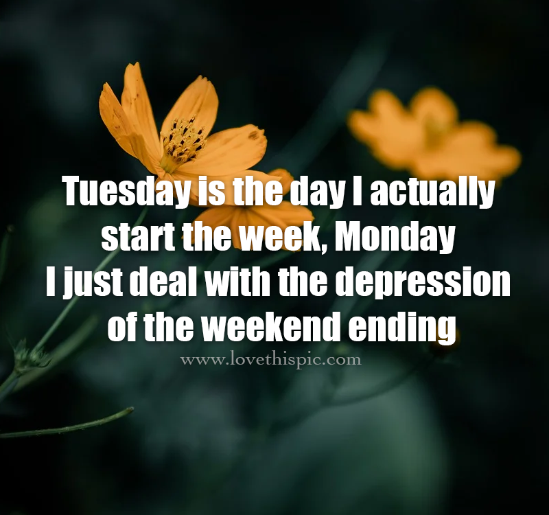 Tuesday Is The Day I Actually Start The Week. Monday, I Just Deal With
