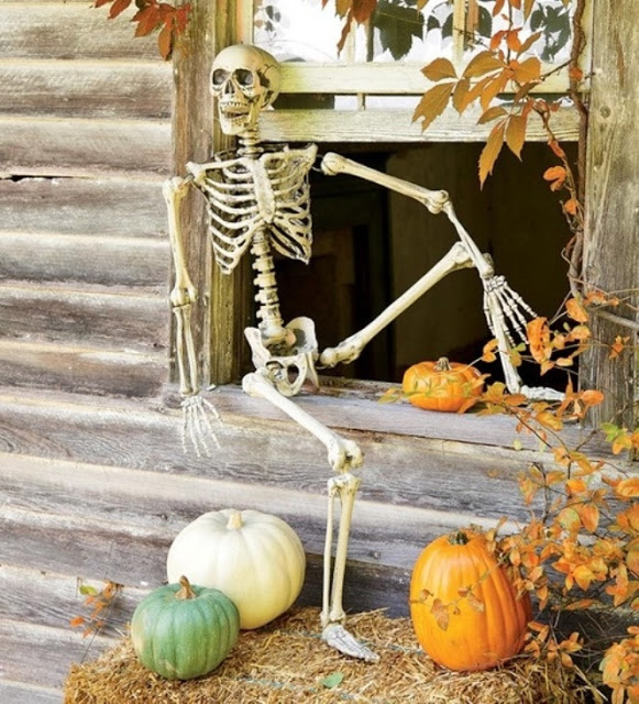 Skeleton Chillin on the Windowsill
