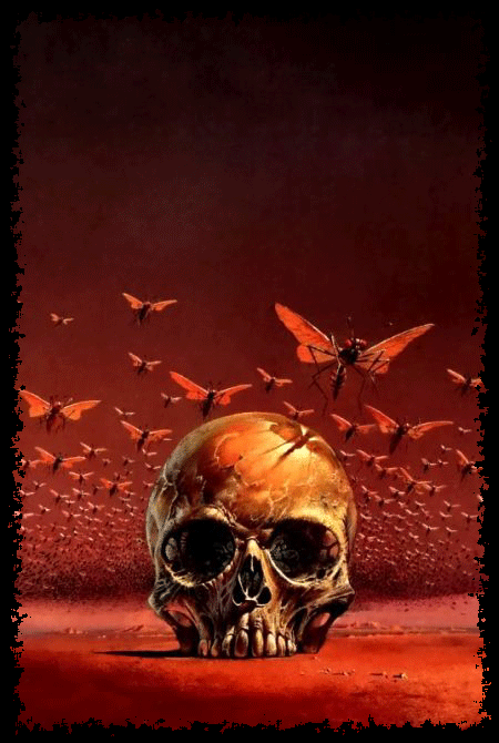 Skull & Butterfiles Skull & Butterfiles
