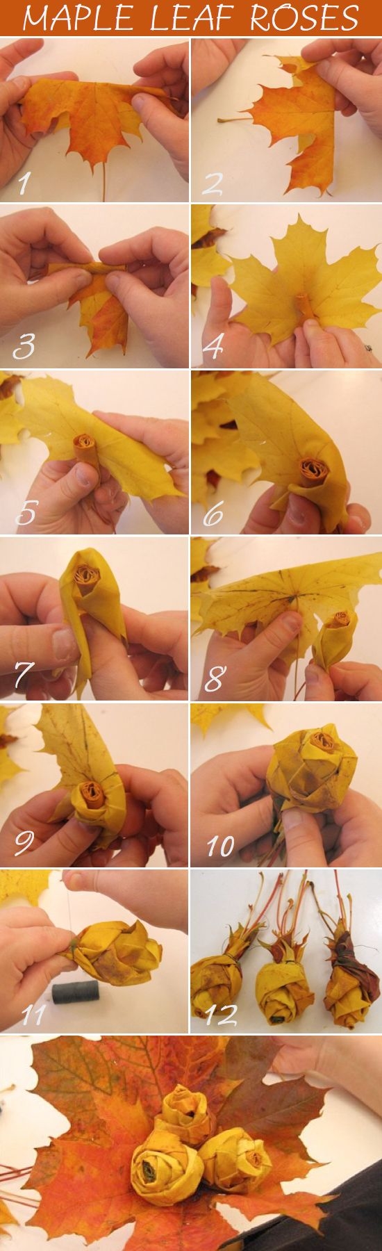 DIY Maple Leaf Roses