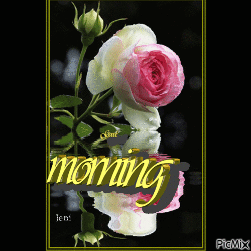 Water Rose Reflection Pictures, Photos, and Images for Facebook, Tumblr