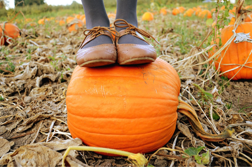 Girl standing on a pumpkin Girl standing on a pumpkin