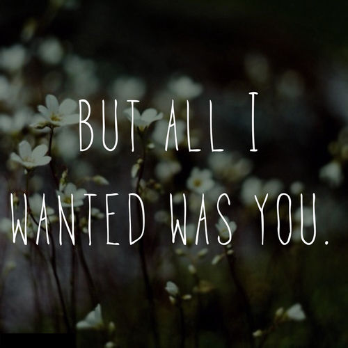 But all i wanted was you