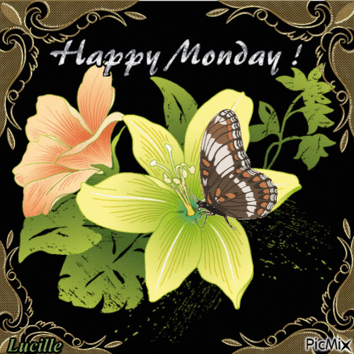 Happy Monday Butterfly Gif