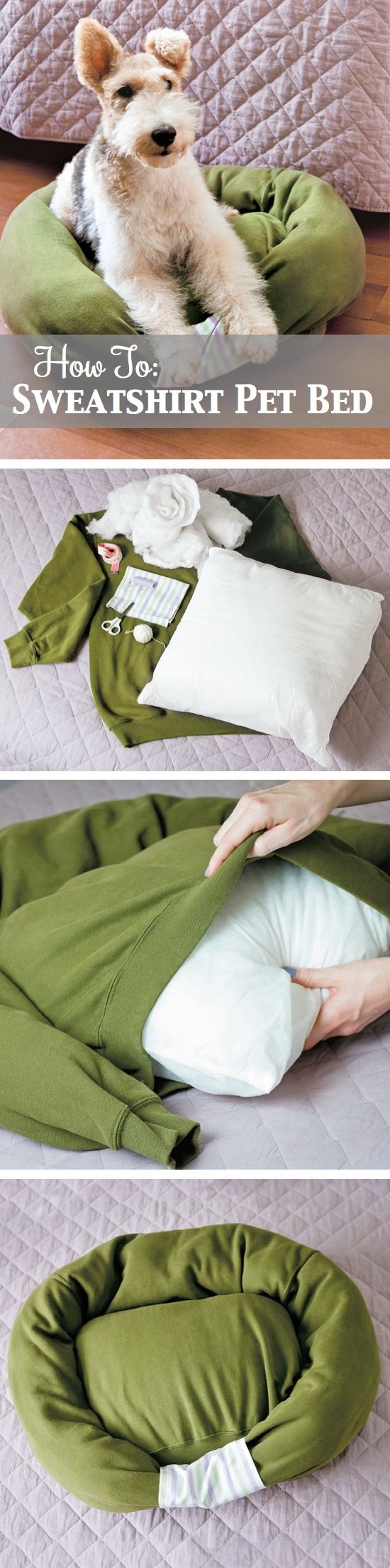 DIY Sweatshirt Dog Bed DIY Sweatshirt Dog Bed
