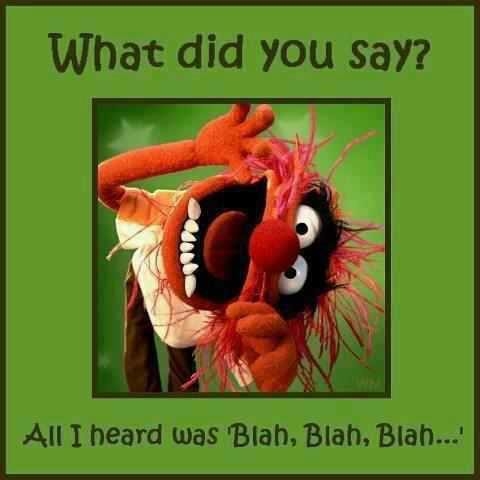 what did you say