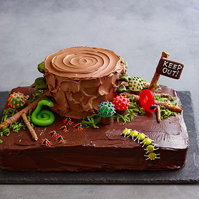 Chocolate Haunted Forest Cake