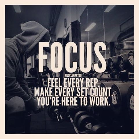FOCUS FOCUS