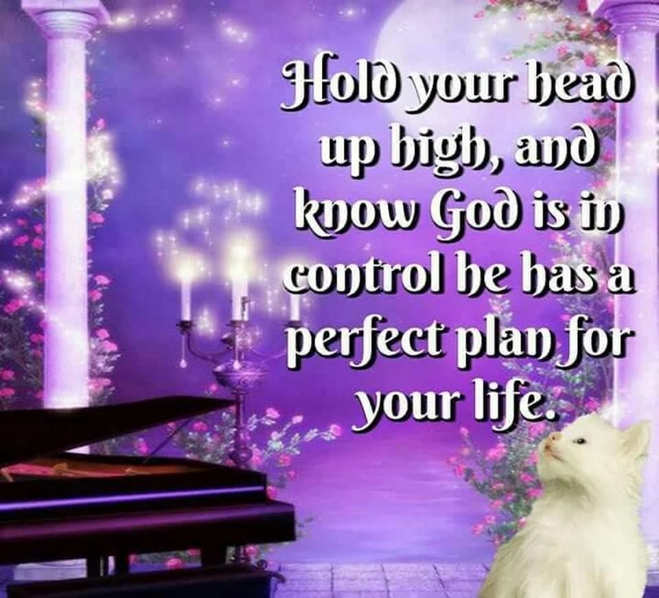 Hold Your Head Up High And Know God Is In Control Pictures, Photos, and