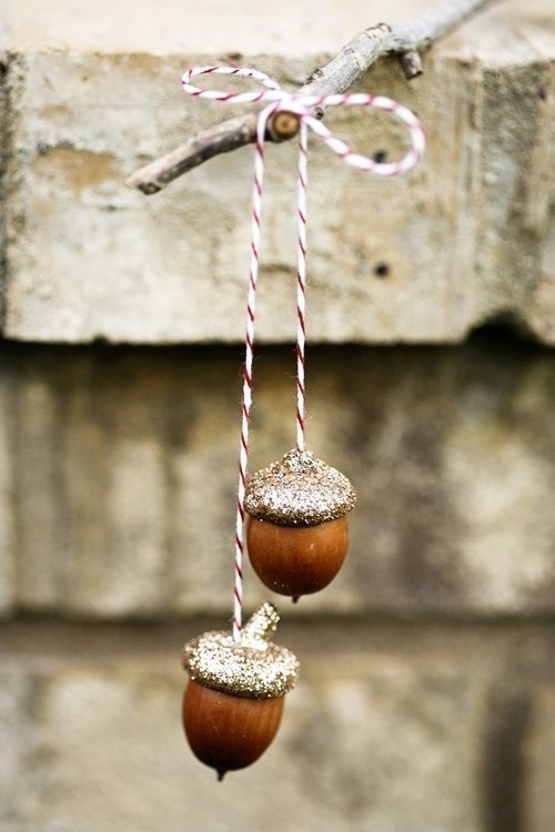 Hanging acorns