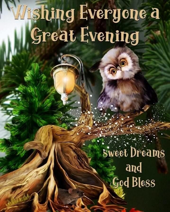 Great Evening Wishes Pictures, Photos, and Images for Facebook, Tumblr