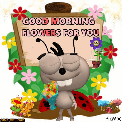 Flower For You, Good Morning Pictures, Photos, and Images for Facebook