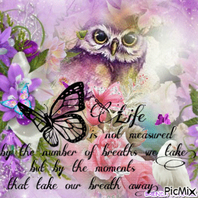 Life Is Not Measured By The Breaths We Take But By The Moments That