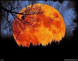 Evil Moon