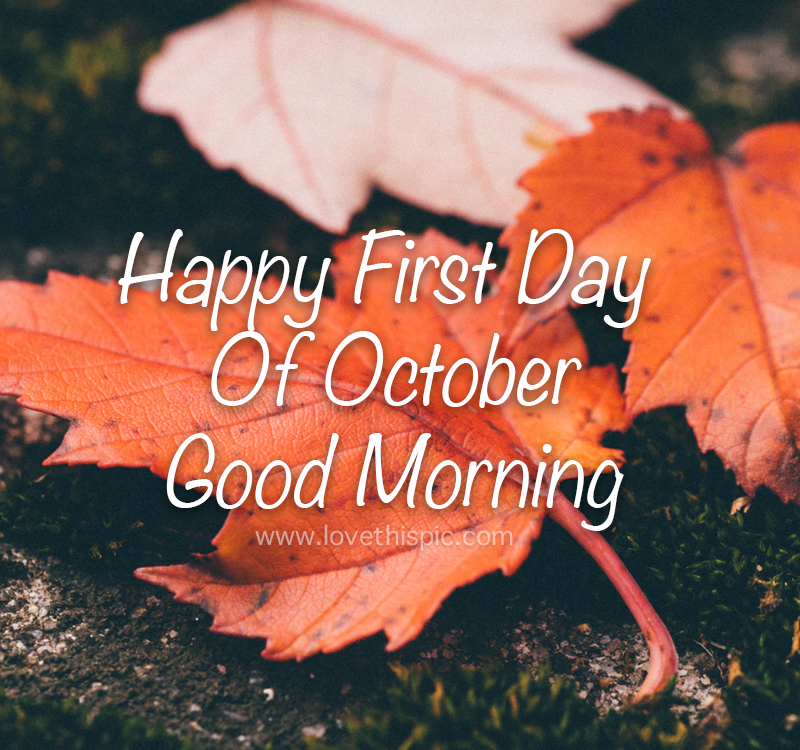 First Day Of October Quotes Leaf Closeup Happy First Day Of October Good Morning Quote Pictures,  Photos, And Images For Facebook, Tumblr, Pinterest, And Twitter