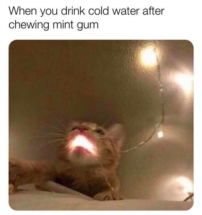When You Drink Cold Water After Chewing Mint Gum Pictures, Photos, and
