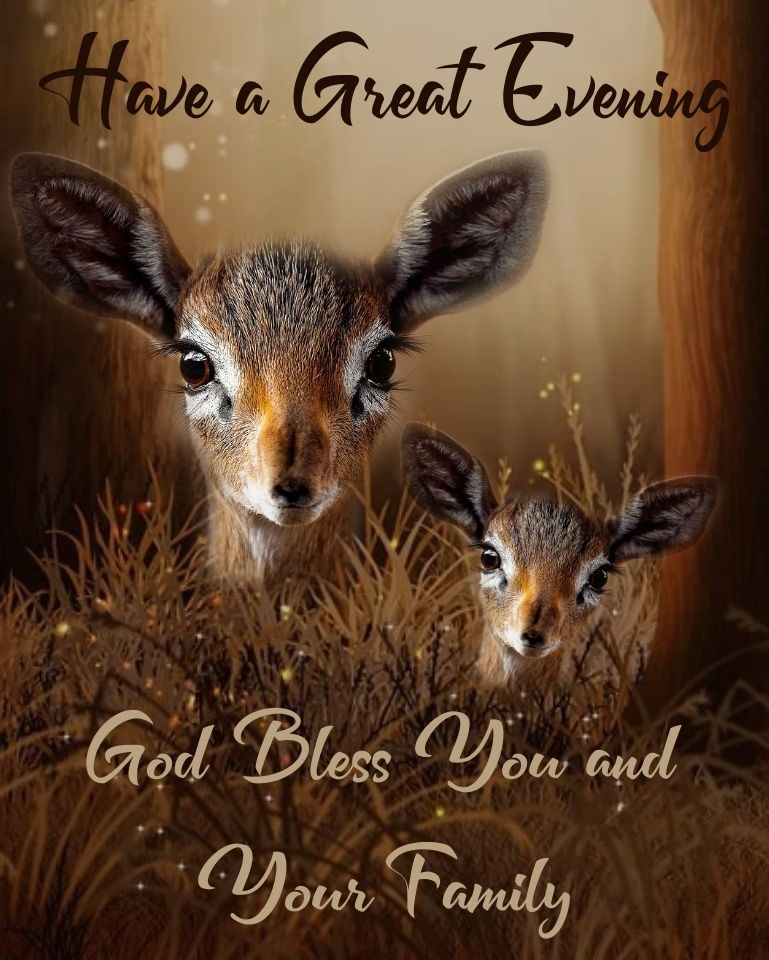 Baby Deer Great Evening Quote Pictures, Photos, and Images for Facebook, Tumblr, Pinterest, and