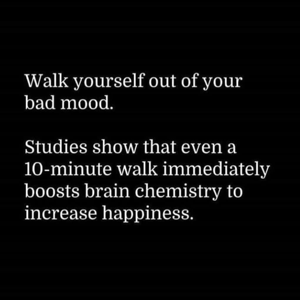 Walk Yourself Out Of Your Bad Mood Pictures, Photos, and Images for