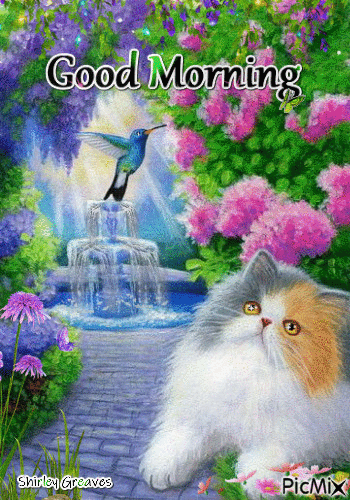 Garden Good Morning Hummingbird Gif Pictures, Photos, and Images for