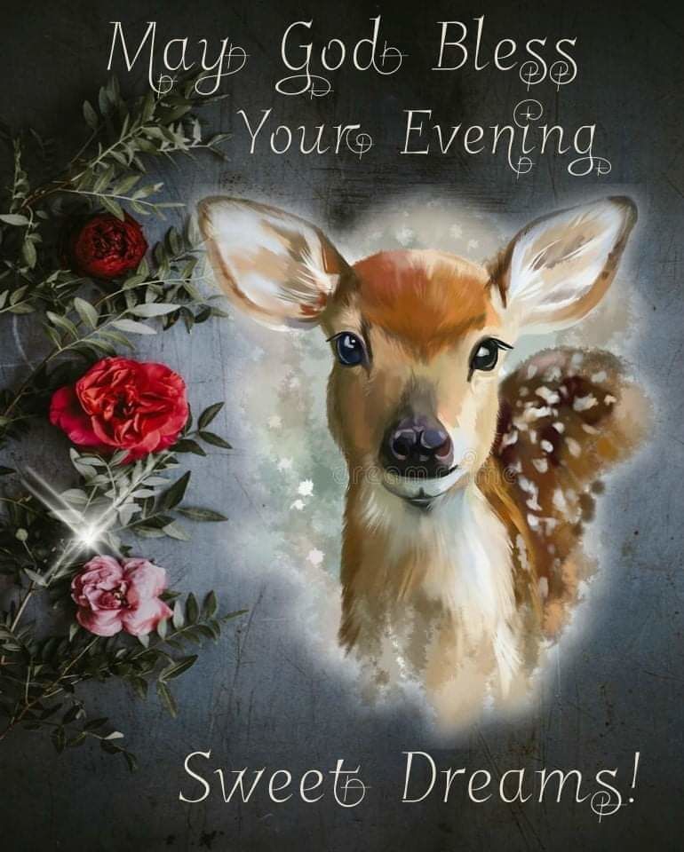 Cute Deer Good Evening Quote Pictures, Photos, and Images for Facebook, Tumblr, Pinterest, and