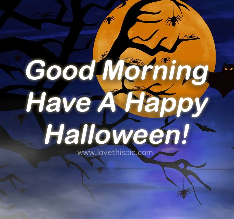 Fog Under Full Moon Good Morning, Have A Happy Halloween Pictures
