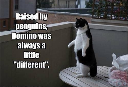 Domino was always a little different Domino was always a little different