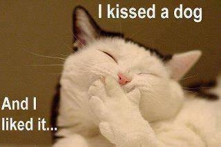 I kissed a dog I kissed a dog