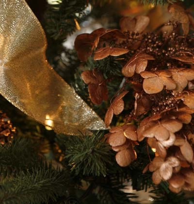 Holiday Hydrangeas