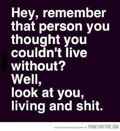 Look at you living and shit Look at you living and shit